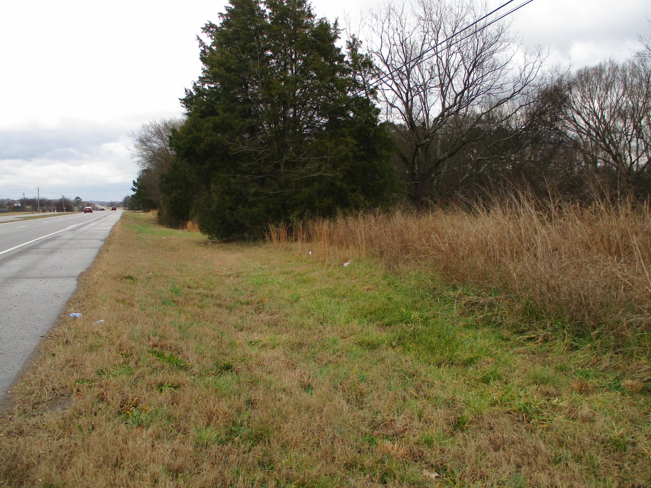 Highway 11 & County Rd 716: Highway 11 & County Rd 716, Riceville, TN 37370